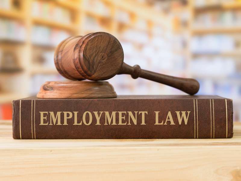 Employment Law: Expert Corporate Advocates